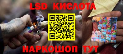 стафф Гусев