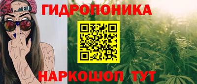 стафф Гусев