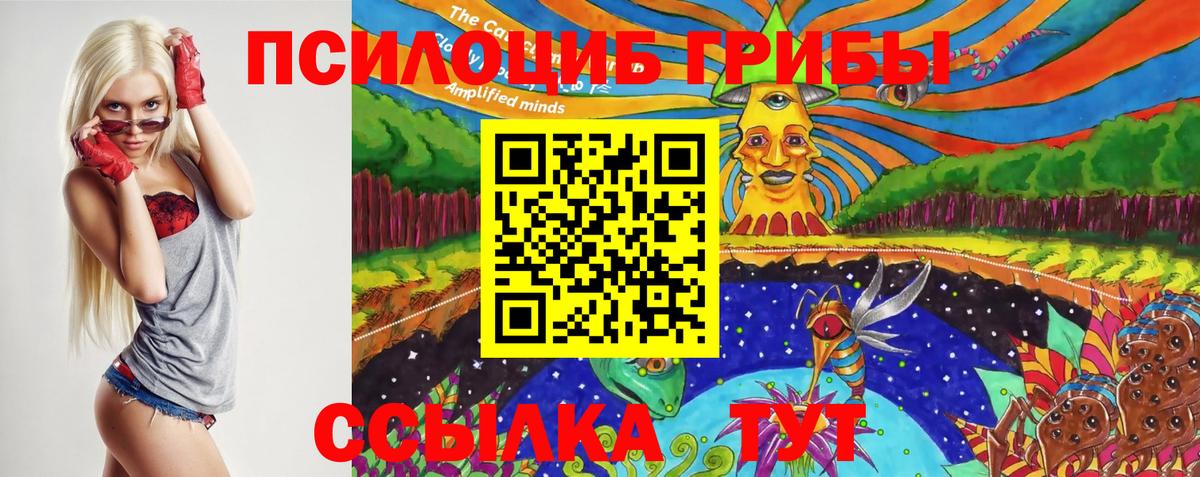 Псилоцибиновые грибы Psilocybe  Вход с VPN  Муравленко  Галлюциногенные грибы прущие грибы 