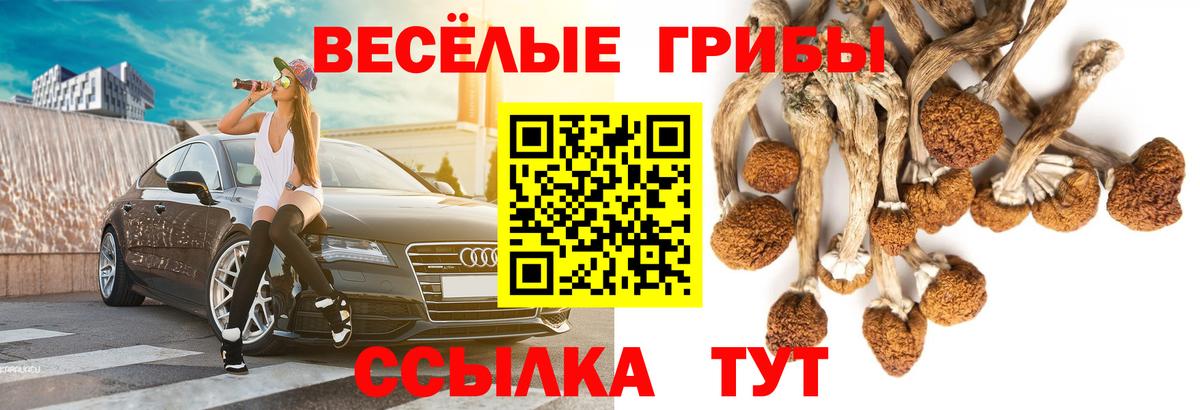 Галлюциногенные грибы Magic Shrooms Муравленко